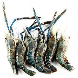 Lobster - গলদা চিংড়ি (B grade) - No Jelly & Formalin